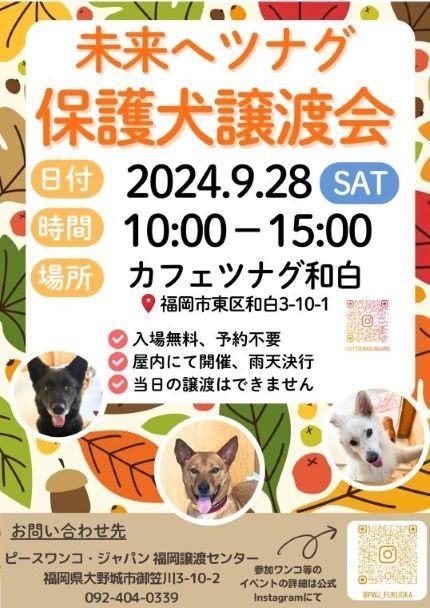 写真：未来へツナグ　保護犬譲渡会