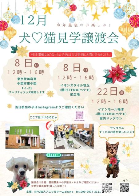 写真：12月犬猫見学譲渡会  