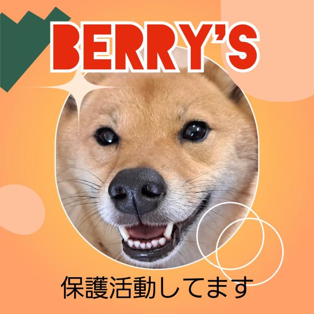 Berry&#039;sの写真